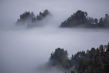 Rocks overgrown with coniferous trees and vegetation rise above clouds and fog in the mountains of the Caucasus, twilight evening in the cold mountains