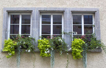 Fototapeta na wymiar Old house in Saalfeld - windows with flowers, Germany