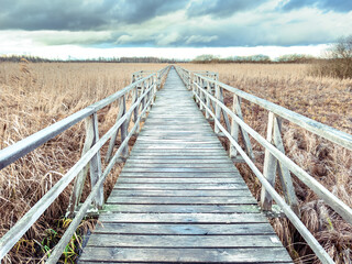 Obraz premium Boardwalk around the Federsee, Bad Buchau
