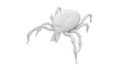 3D Rendered Illustration of a Tick.