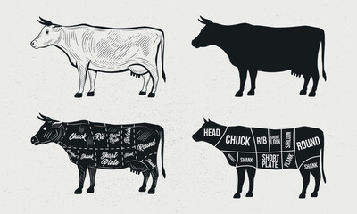 Cow, Beef set. Cow silhouette. Beef - butcher diagram template. Cuts of beef. Vintage Poster for groceries, butcher shop, meat store. Vector illustration