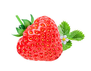 Strawberry berry isolated on white or transparent background.