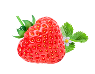 Strawberry berry isolated on white or transparent background.