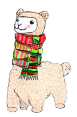 Lama, graziosa illustrazione  isolata su sfondo bianco