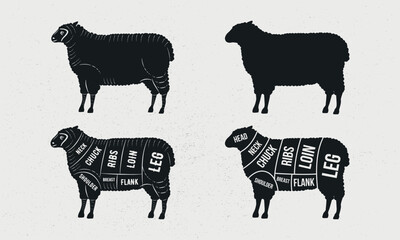 Sheep set. Sheep silhouette. Mutton - butcher diagram template. Cuts of Lamb meat. Vintage Poster for groceries, butcher shop, meat store. Vector illustration