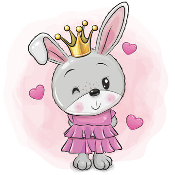Cartoon Rabbit Princess in a pink dress