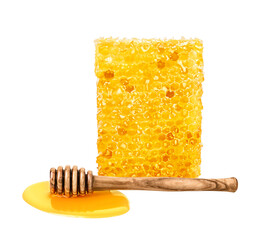 Honey isolated on white or transparent background. Honeycomb and honey dipper.