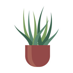 Green plant in pot cartoon vector. Potted decorative houseplants for interior. Decoration, gardening, floral vector, isolated on white background