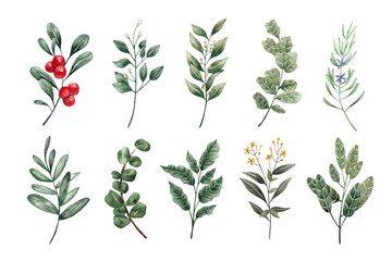 Botanical green leaf watercolor painting element set isolated on white background