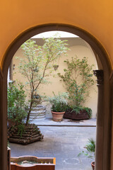 courtyard with plants