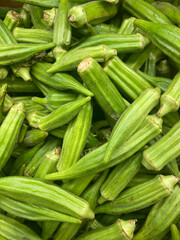 Fresh Okra, green healthy okra, harvest okra, overlooking fresh okra background element