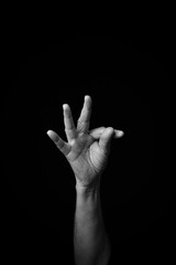Hand demonstrating the French sign language letter 'T' with copy space