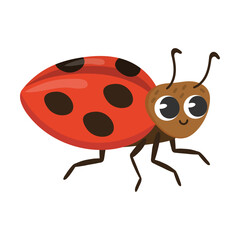 Cute bug ladybug cartoon character vector illustration. Funny forest or garden animals isolated on white background. Insects, nature concept