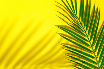 Green tropical palm leaves on a bright yellow background. Summer vacation, travel or fashion concept