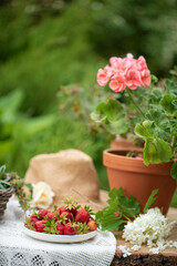 cottage core concept, summer garden