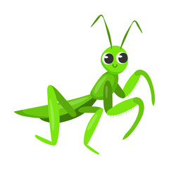 Cute mantis cartoon character vector illustration. Funny forest or garden animals isolated on white background. Insects, nature concept