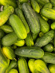 cucumbers in the market, cucumber background, cucumber harvest