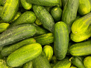 cucumbers on the market, close-up view of cucumbers, cucumbers harvest