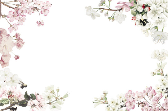 a frame design of flowers with a blank background