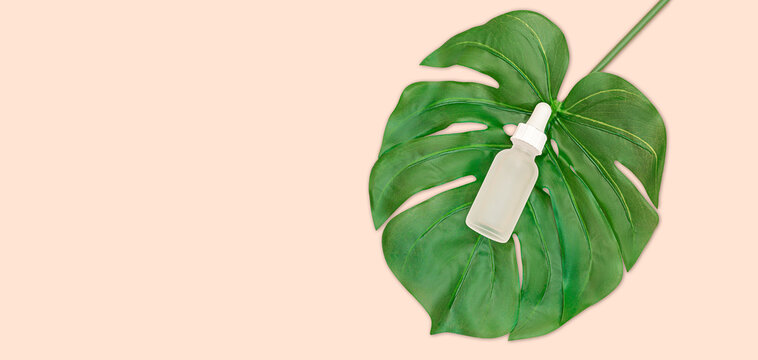Top view on transparent plastic bottle of serum on green tropical leaf on pink table. Makeup merchandise template.
