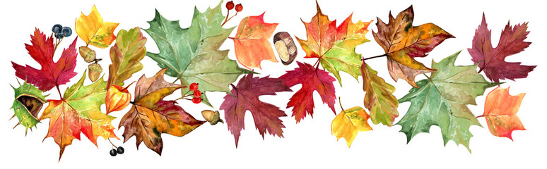 Fototapeta premium Fall leaves watercolor border, colorful watercolor leaves wreath , border. Golden, brown, orange leaves and berries, pumpkins, border for Thanksgiving cards, posters. PNG on transparent background. 