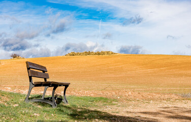 Fototapeta na wymiar Bench on meadow in countryside landscape with blue sky