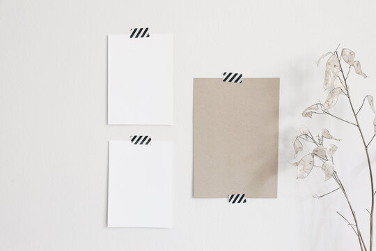 Neutral mood board. Set of blank paper greeting card mockups taped on white wall. Striped washi tape and dry lunaria, honesty plant. Artistic display. Minimal still life, beige colour.