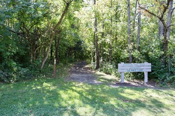 The beginning of the hiking trail in the forest.