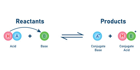 Bronsted Lowry acid base theory. Scientific vector illustration isolated on white background.