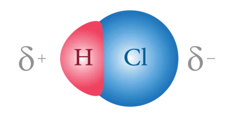 Fotobehang Bond polarity  in Hydrochloric acid (HCl) molecule. Scientific vector illustration isolated on white background. © SAMYA