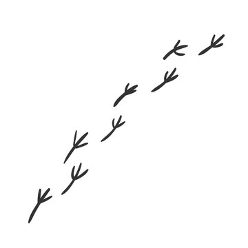 Vector Illustration of Bird Tracks Isolated on White Background