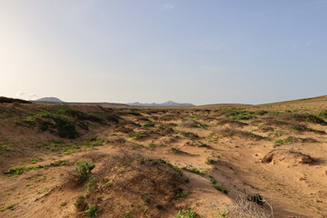View on valley in Fuerteventura