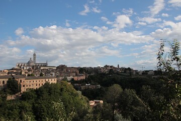 Fototapeta na wymiar Italy, Tuscany: View of Duomo of Siena.