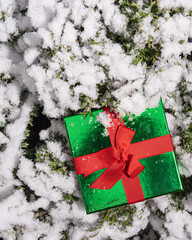 Emerald Christmas gift box with red bow on a sunny winter day on green thuja branches covered with white fluffy snow, background image for Christmas and New Year. flatlay, vertical, copy space