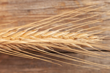 an ear with wheat grain lies on a wooden background. Macro