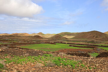 View on volcanes de Bayuyo to Fuerteventura
