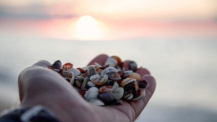 There are small shells from the beach on my hand. against the background of sunset in the sea.