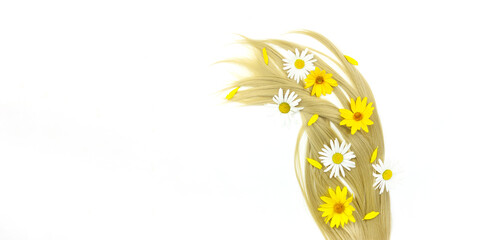Blond shiny hair wave with chamomile and calendula flowers, on white. Hairstyle, haircut in salon.