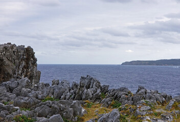 Fototapeta na wymiar Scenic land and sea views at Cape Hedo at the north end of Okinawa, Japan -14