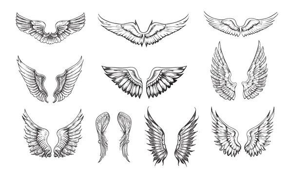 Set of wings sketch hand drawn Vector illustration