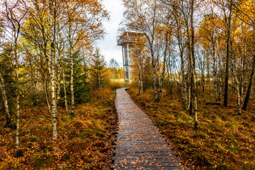 Herbstliche Erkundungstour durch die Rhön in der Nähe des Schwarzen Moors - Fladungen - Bayern