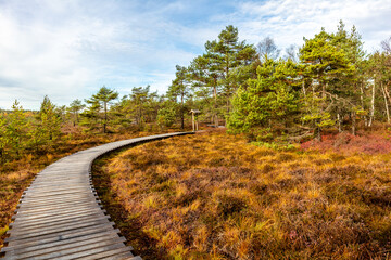 Herbstliche Erkundungstour durch die Rhön in der Nähe des Schwarzen Moors - Fladungen - Bayern