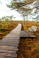 Fototapeta premium Herbstliche Erkundungstour durch die Rhön in der Nähe des Schwarzen Moors - Fladungen - Bayern