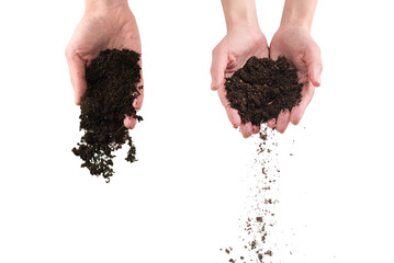 Brown soil in woman hands isolated on white.
