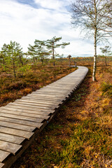 Fototapeta premium Herbstliche Erkundungstour durch die Rhön in der Nähe des Schwarzen Moors - Fladungen - Bayern