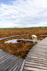 Fototapeta premium Herbstliche Erkundungstour durch die Rhön in der Nähe des Schwarzen Moors - Fladungen - Bayern