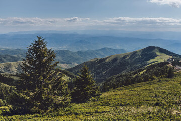 Mountain Landscape in National Park Kopaonik