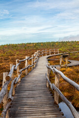 Obraz premium Herbstliche Erkundungstour durch die Rhön in der Nähe des Schwarzen Moors - Fladungen - Bayern