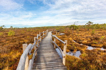 Obraz premium Herbstliche Erkundungstour durch die Rhön in der Nähe des Schwarzen Moors - Fladungen - Bayern