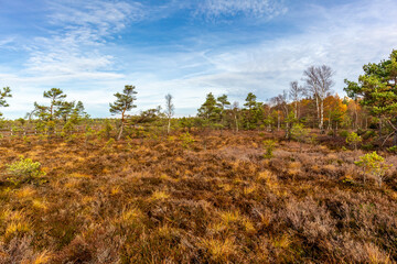 Fototapeta premium Herbstliche Erkundungstour durch die Rhön in der Nähe des Schwarzen Moors - Fladungen - Bayern